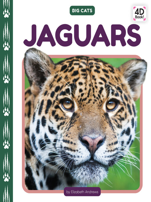 Cover image for Jaguars